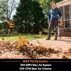 imageLawnMaster CLBL2417A Cordless Blower 24V Max with 40Ah Battery and a ChargerBlower