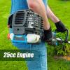 imageLawnMaster NPTGSP2517A NoPull Gas Grass Trimmer with Electric Start 25cc 2 Cycle17InchStraight Shaft 25CC 17Inch