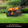 imageLawnMaster GV1314 Electric 15 13 Amp Dethatcher and Scarifier12 Inch